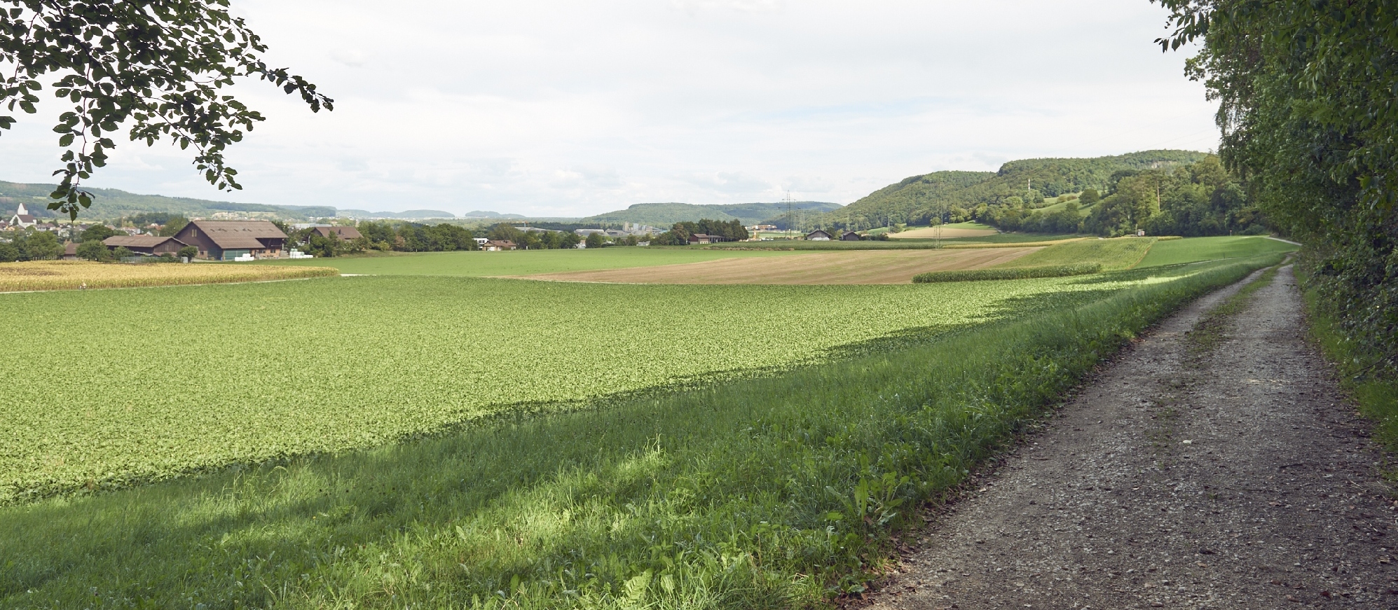 Kiesabbaugebiet Hasli, Blick Richtung Osten